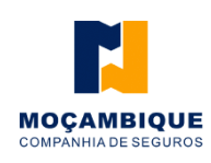 Moçambique Seguros
